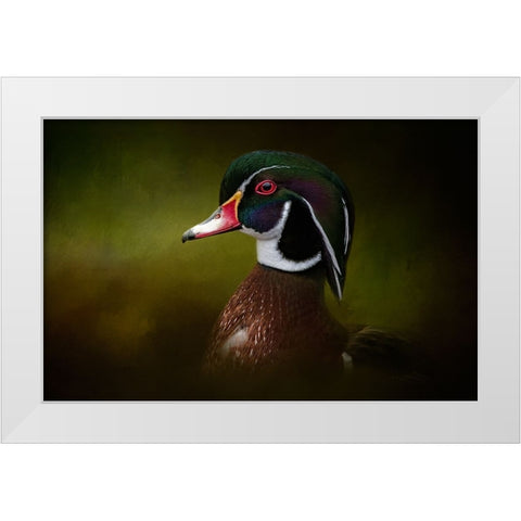 Color Palette White Modern Wood Framed Art Print by Parker, Kelley