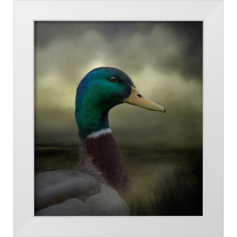 Dapper Drake White Modern Wood Framed Art Print by Parker, Kelley