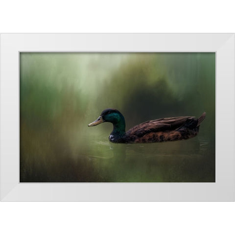 In His Element White Modern Wood Framed Art Print by Parker, Kelley