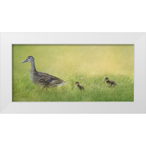 Follow the Leader White Modern Wood Framed Art Print by Parker, Kelley