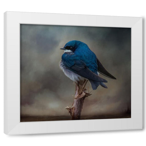 Big Blue Boy White Modern Wood Framed Art Print by Parker, Kelley