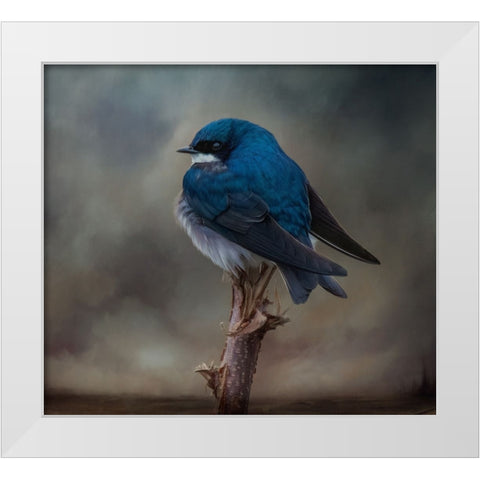 Big Blue Boy White Modern Wood Framed Art Print by Parker, Kelley