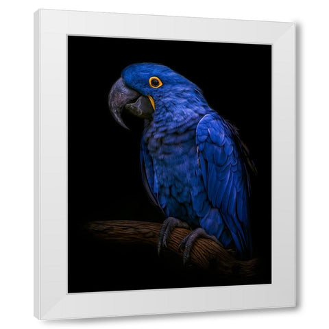 Enchanting   White Modern Wood Framed Art Print by Parker, Kelley