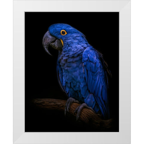 Enchanting   White Modern Wood Framed Art Print by Parker, Kelley