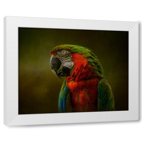 Harlequin Beauty White Modern Wood Framed Art Print by Parker, Kelley