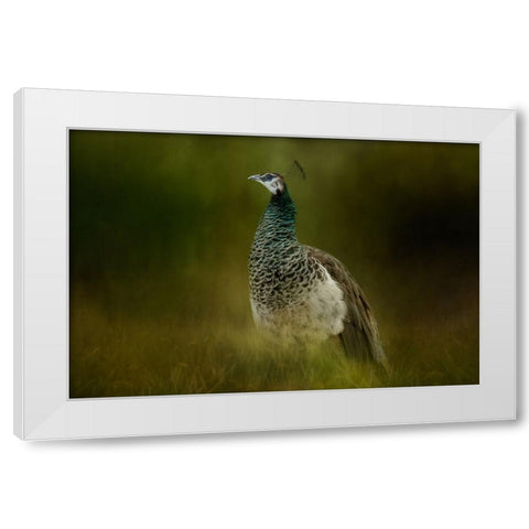 Green Gem White Modern Wood Framed Art Print by Parker, Kelley