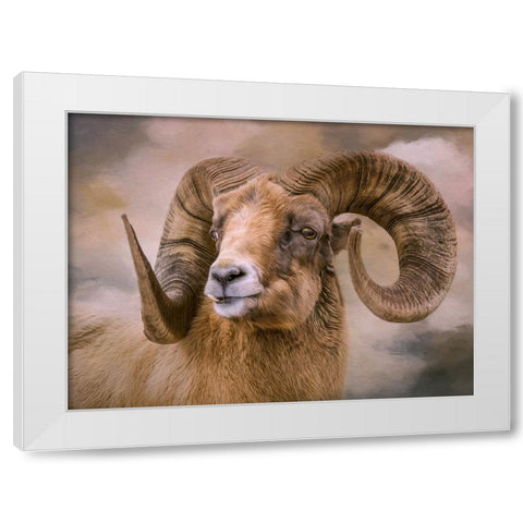 Mountain Dweller White Modern Wood Framed Art Print by Parker, Kelley