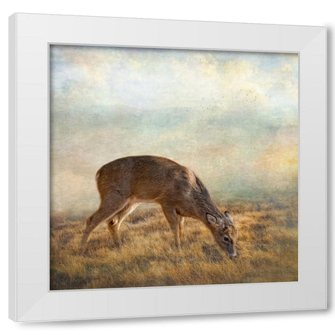 Mornings Foraging White Modern Wood Framed Art Print by Parker, Kelley