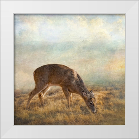 Mornings Foraging White Modern Wood Framed Art Print by Parker, Kelley