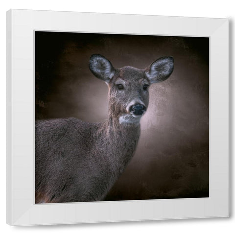 The Observer White Modern Wood Framed Art Print by Parker, Kelley