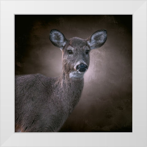 The Observer White Modern Wood Framed Art Print by Parker, Kelley