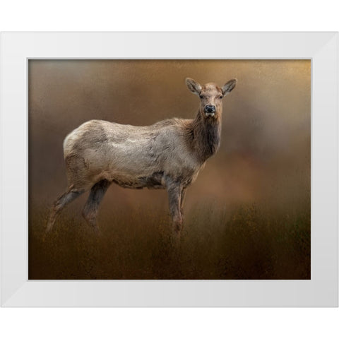 Quiet Elegance White Modern Wood Framed Art Print by Parker, Kelley