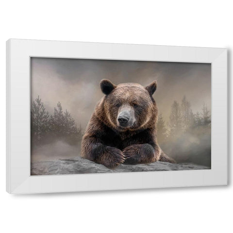 Grizzly Summit White Modern Wood Framed Art Print by Parker, Kelley