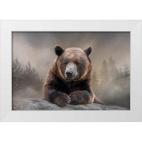 Grizzly Summit White Modern Wood Framed Art Print by Parker, Kelley