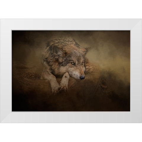 At Rest White Modern Wood Framed Art Print by Parker, Kelley