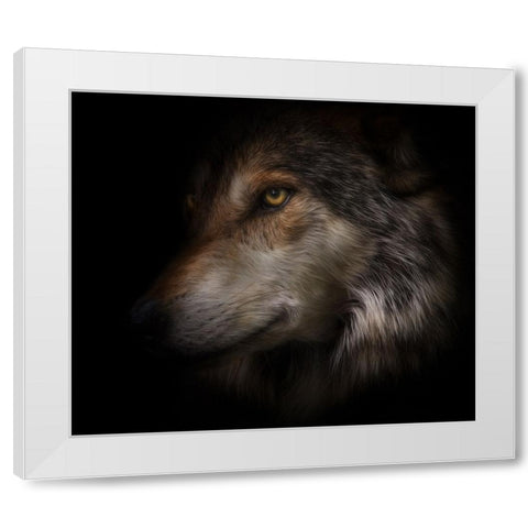 Where Light and Dark Meet White Modern Wood Framed Art Print by Parker, Kelley