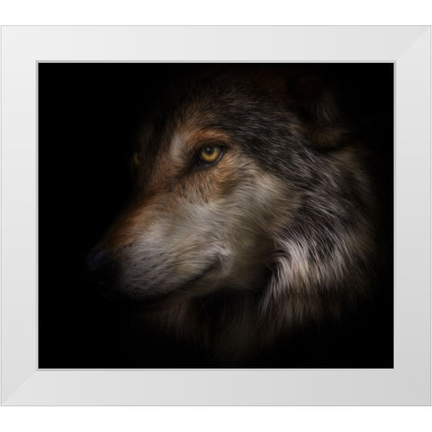 Where Light and Dark Meet White Modern Wood Framed Art Print by Parker, Kelley