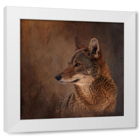 Line of Sight White Modern Wood Framed Art Print by Parker, Kelley