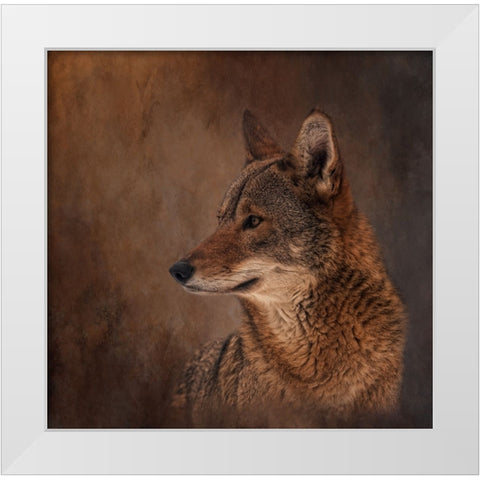 Line of Sight White Modern Wood Framed Art Print by Parker, Kelley