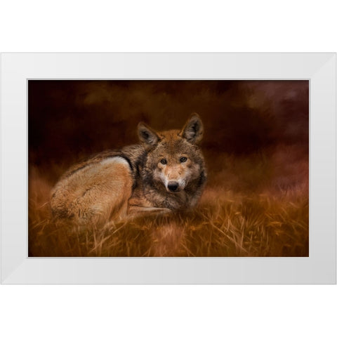 Safe Haven White Modern Wood Framed Art Print by Parker, Kelley