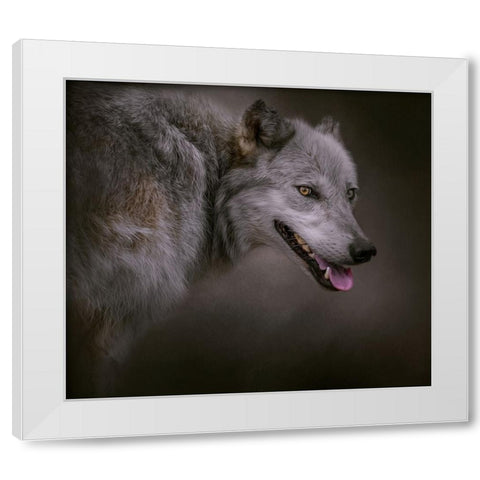 Eye on the Prize White Modern Wood Framed Art Print by Parker, Kelley