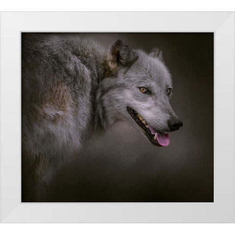 Eye on the Prize White Modern Wood Framed Art Print by Parker, Kelley