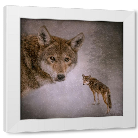 I Am Wolf White Modern Wood Framed Art Print by Parker, Kelley
