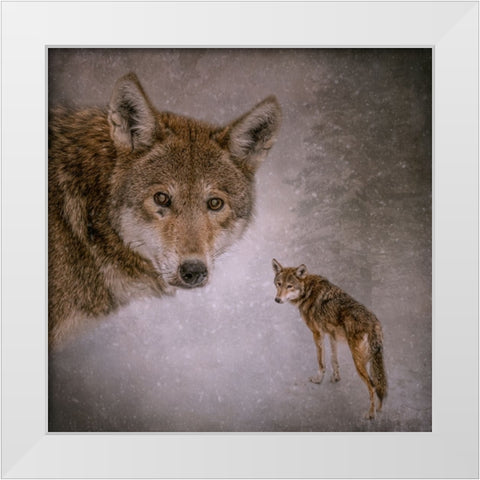 I Am Wolf White Modern Wood Framed Art Print by Parker, Kelley