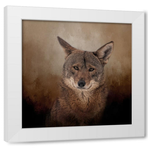 Eyes of the Wolf White Modern Wood Framed Art Print by Parker, Kelley