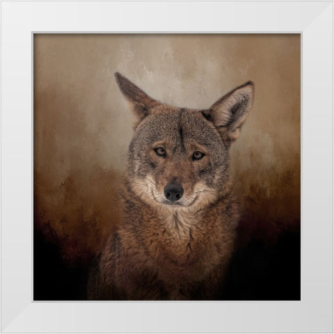 Eyes of the Wolf White Modern Wood Framed Art Print by Parker, Kelley