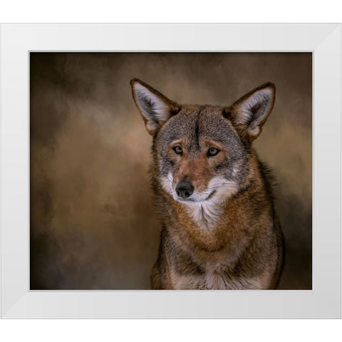 Red Bandit White Modern Wood Framed Art Print by Parker, Kelley