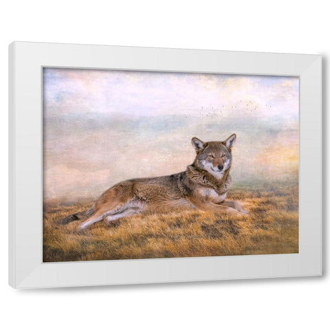Distant Gaze White Modern Wood Framed Art Print by Parker, Kelley