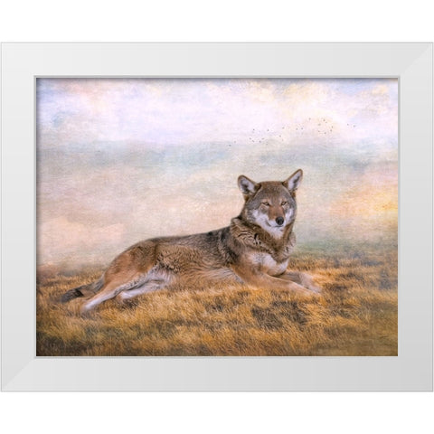 Distant Gaze White Modern Wood Framed Art Print by Parker, Kelley