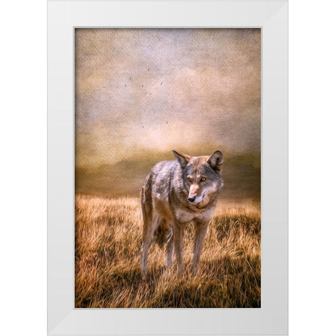 On Patrol White Modern Wood Framed Art Print by Parker, Kelley