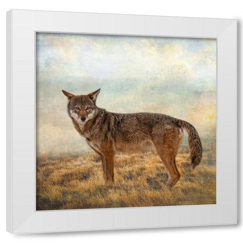 Interested Gaze White Modern Wood Framed Art Print by Parker, Kelley