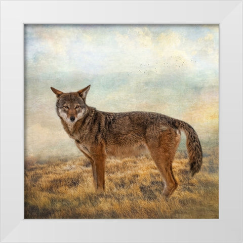 Interested Gaze White Modern Wood Framed Art Print by Parker, Kelley
