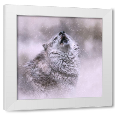 First Call of Winter White Modern Wood Framed Art Print by Parker, Kelley