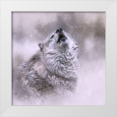 First Call of Winter White Modern Wood Framed Art Print by Parker, Kelley