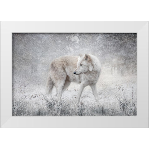 The Forest of Snow White Modern Wood Framed Art Print by Parker, Kelley