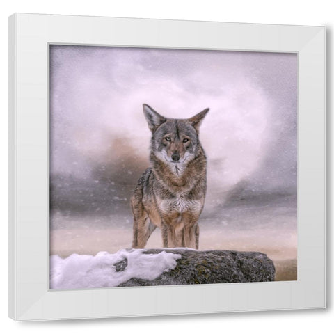Welcoming Winter White Modern Wood Framed Art Print by Parker, Kelley