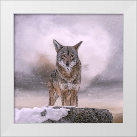 Welcoming Winter White Modern Wood Framed Art Print by Parker, Kelley