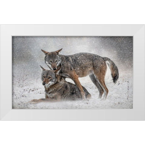 Shelter from the Storm White Modern Wood Framed Art Print by Parker, Kelley