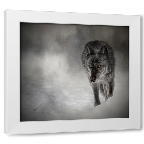 The Lone Journey White Modern Wood Framed Art Print by Parker, Kelley