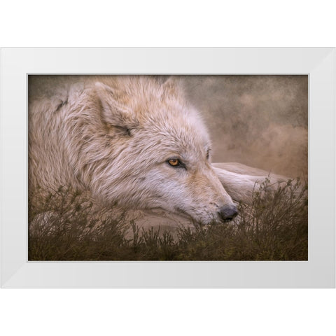 Taking a Break White Modern Wood Framed Art Print by Parker, Kelley