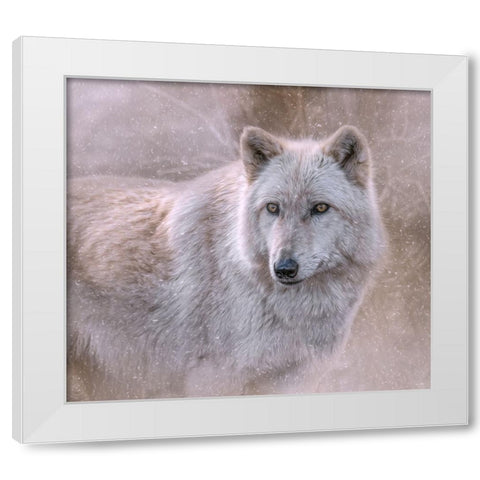 Spirit of the North White Modern Wood Framed Art Print by Parker, Kelley