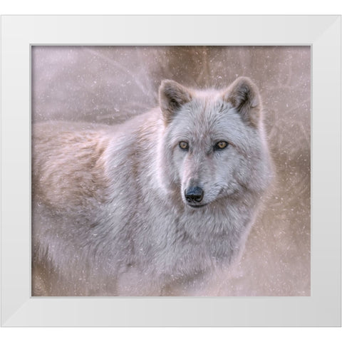 Spirit of the North White Modern Wood Framed Art Print by Parker, Kelley