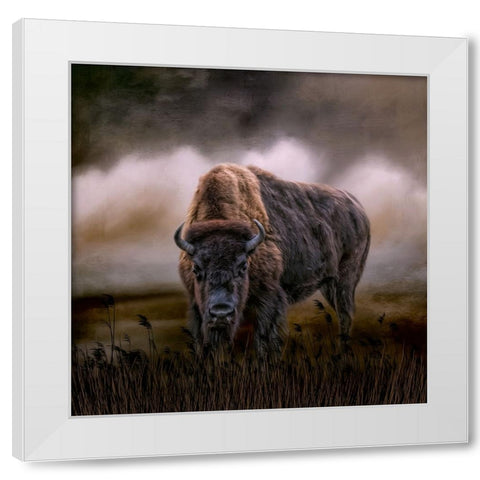 Master of His Herd White Modern Wood Framed Art Print by Parker, Kelley