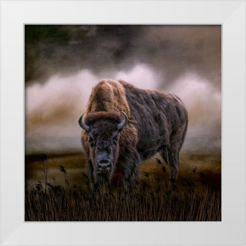 Master of His Herd White Modern Wood Framed Art Print by Parker, Kelley