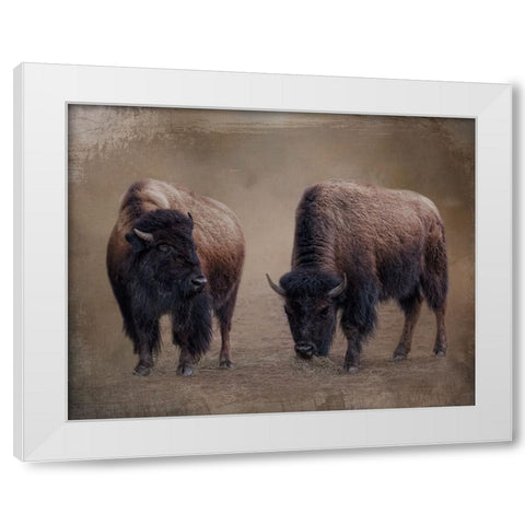Bison Buddies White Modern Wood Framed Art Print by Parker, Kelley