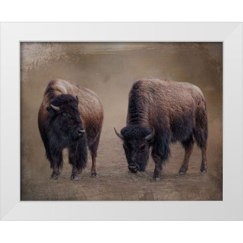 Bison Buddies White Modern Wood Framed Art Print by Parker, Kelley